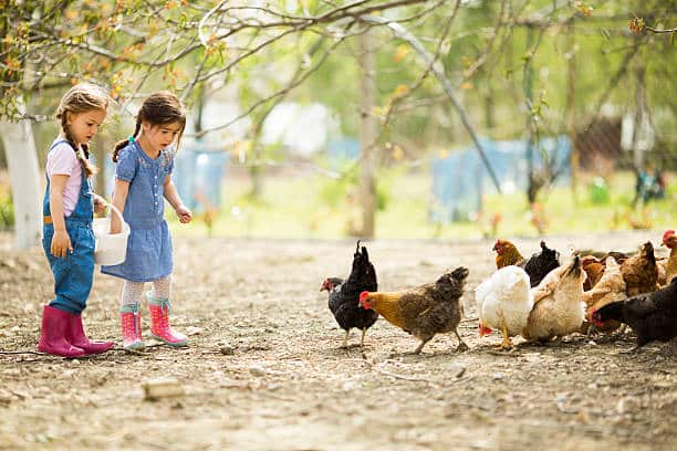 De Ferme en Ferme