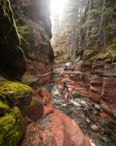 Parc National des Lacs-Waterton