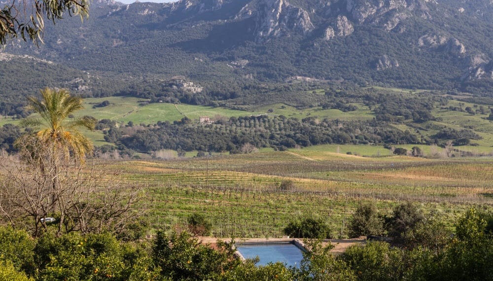 CORSE