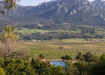 CORSE