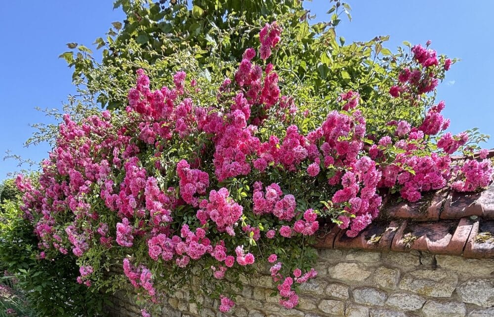 LOIRET