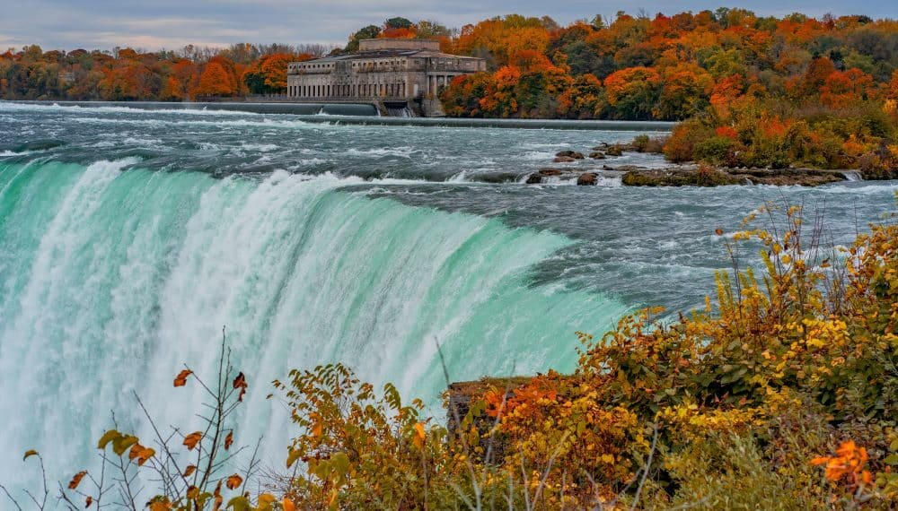 Niagara