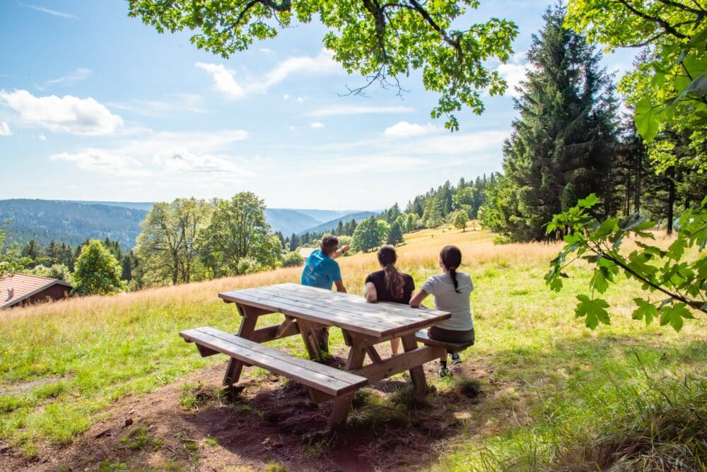 HAUTE VOSGES