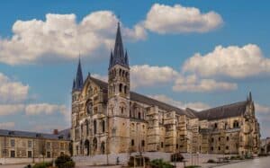 REIMS