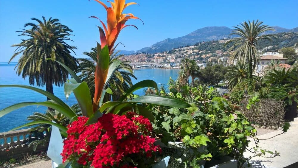 MENTON
