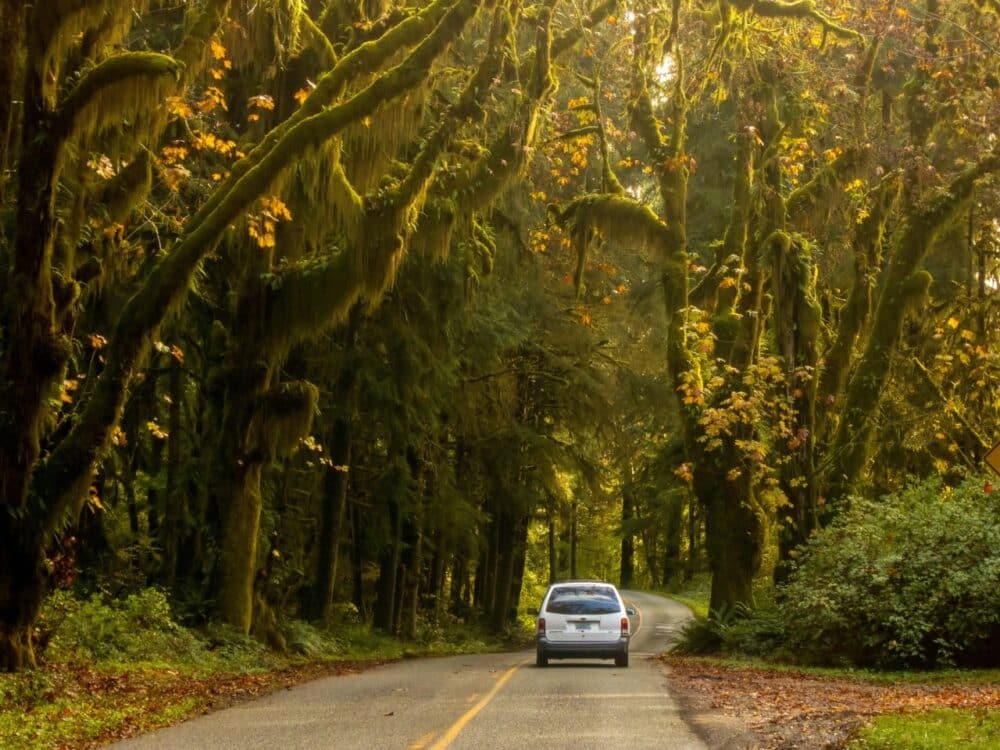 Washington