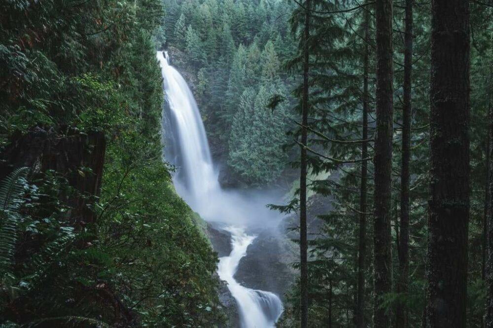 Washington