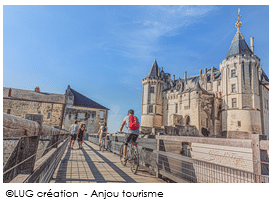 anjou