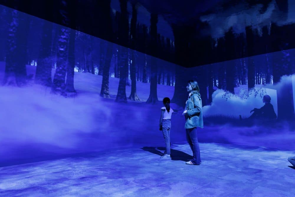 FABLES IMMERSIVES