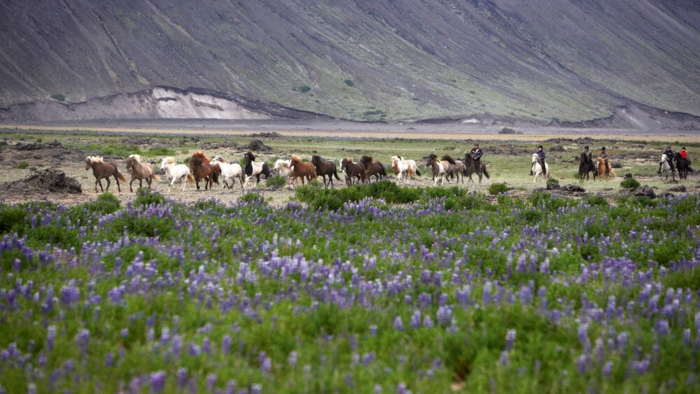 ISLANDE