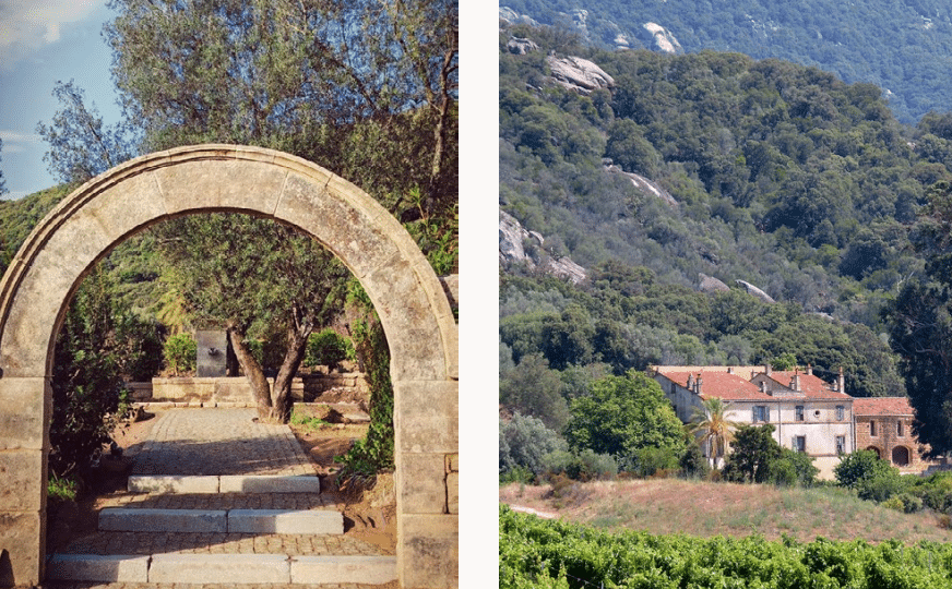 Corse