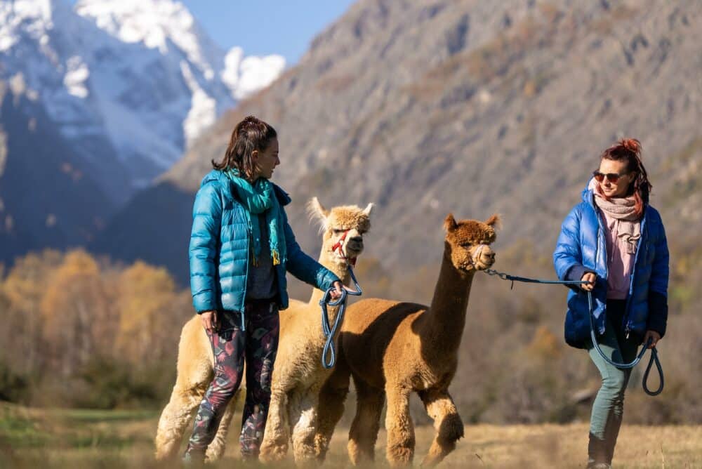 Hautes-Alpes