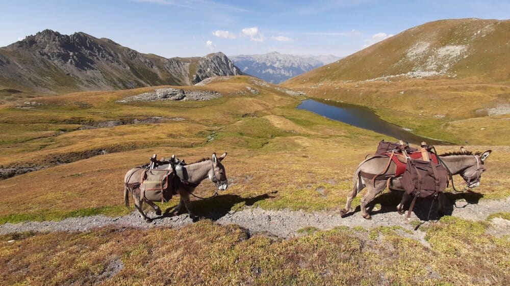 Hautes-Alpes