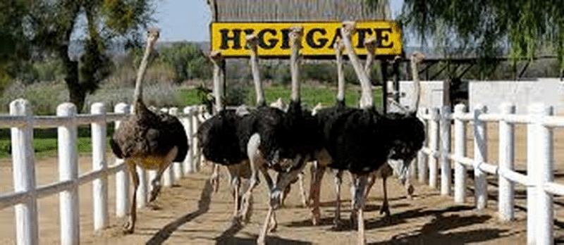 AFRIQUE DU SUD