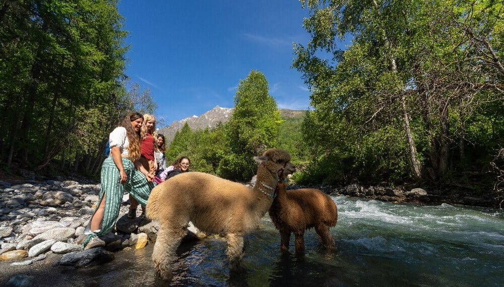 Hautes-Alpes
