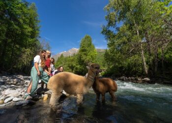 Hautes-Alpes
