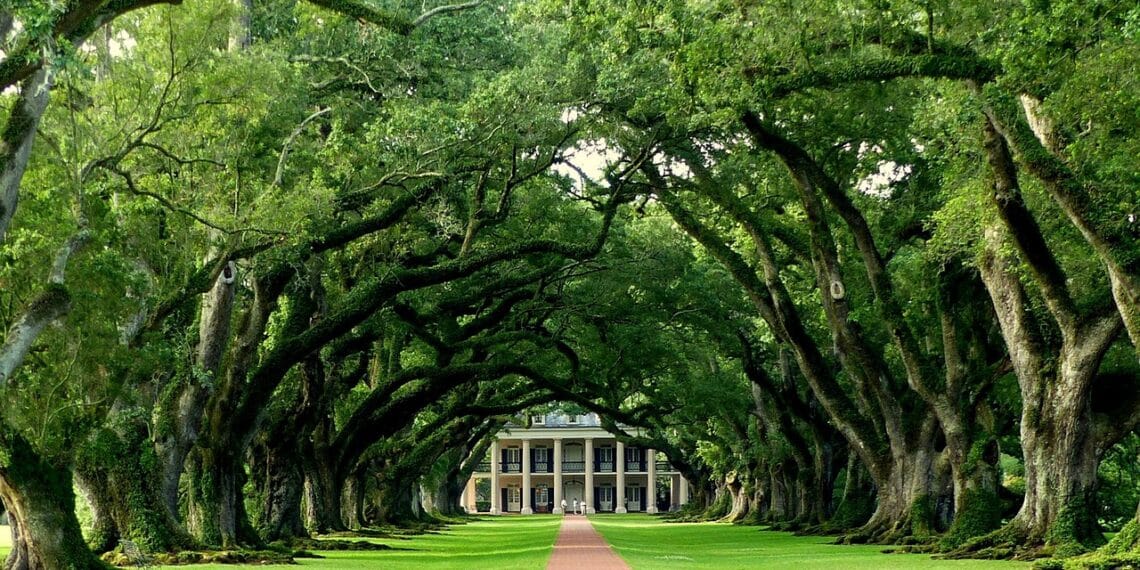 LOUISIANE