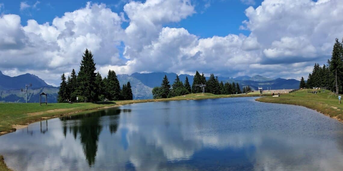 VAL D ARLY