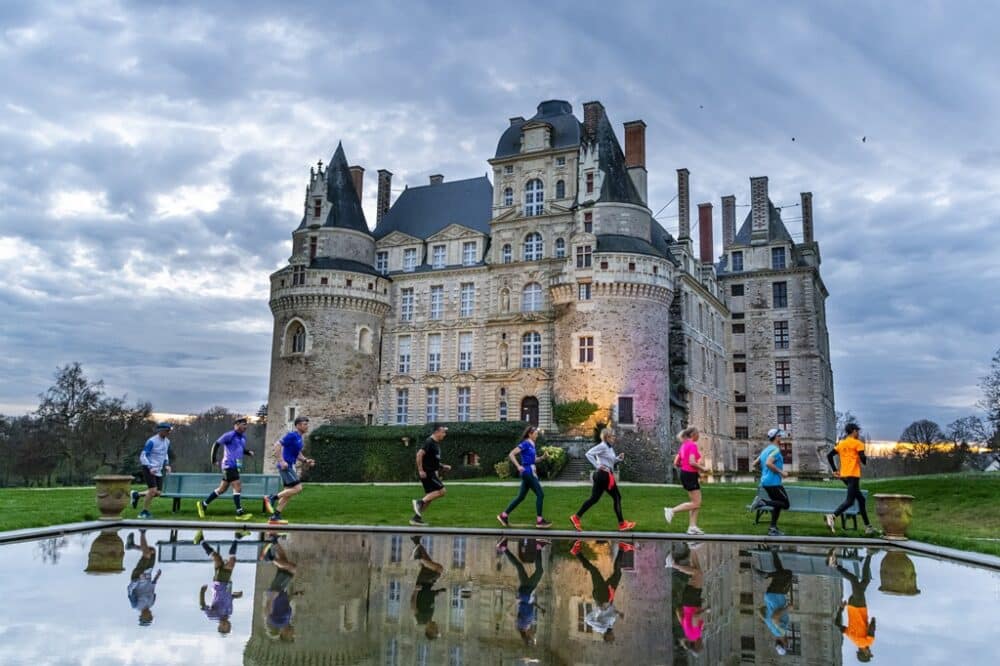 Chateau-de-Brissac