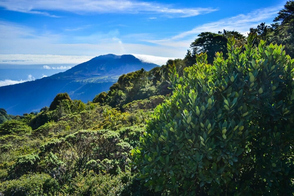 COSTA RICA