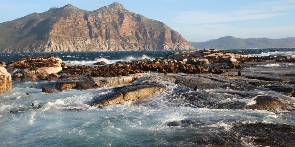 LE CAP