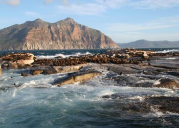 LE CAP