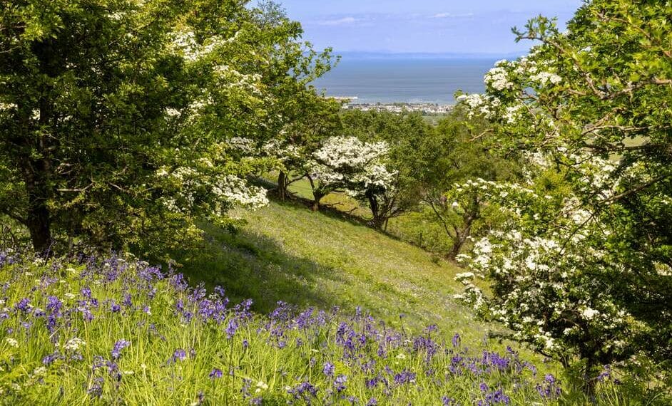 irlande