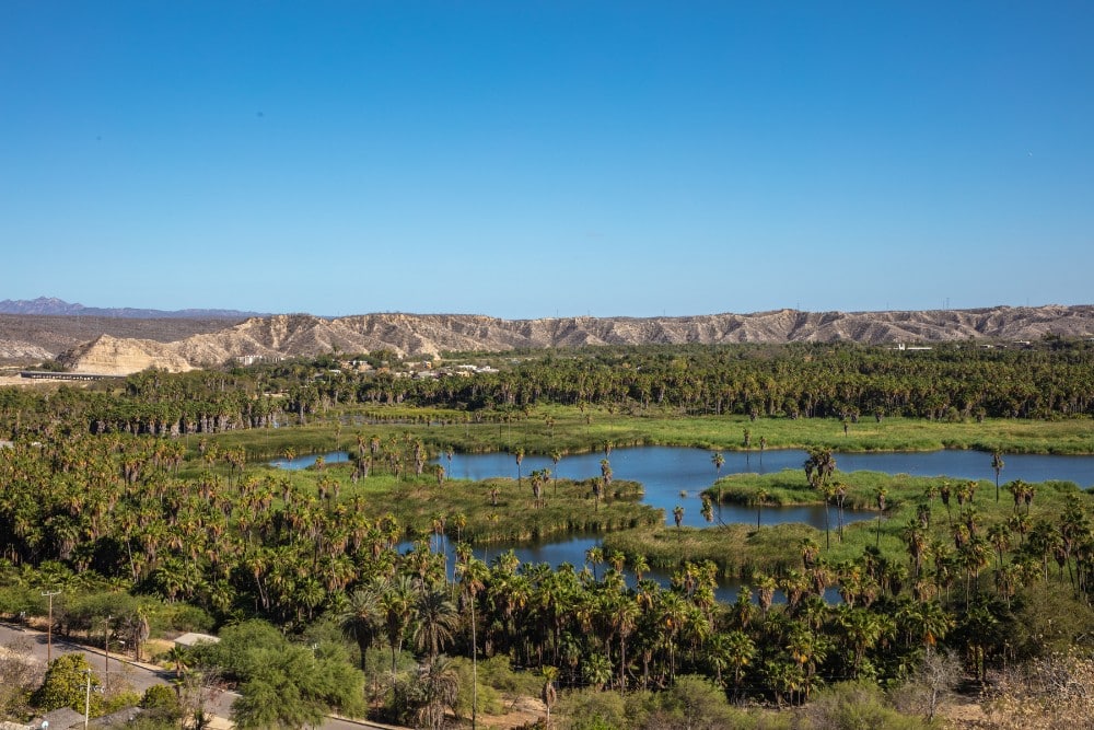 Sierra de la Laguna