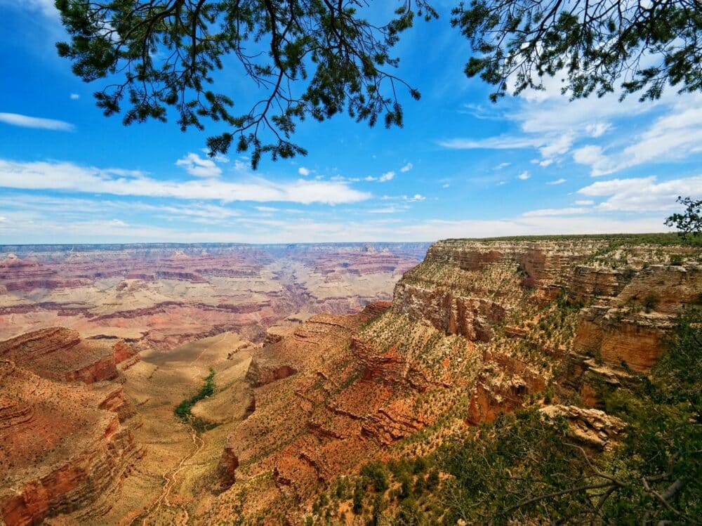 GRAND CANYON