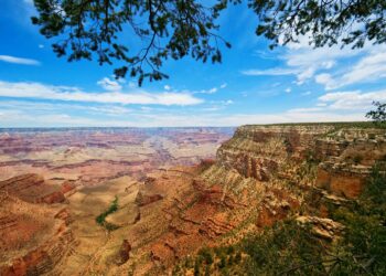GRAND CANYON