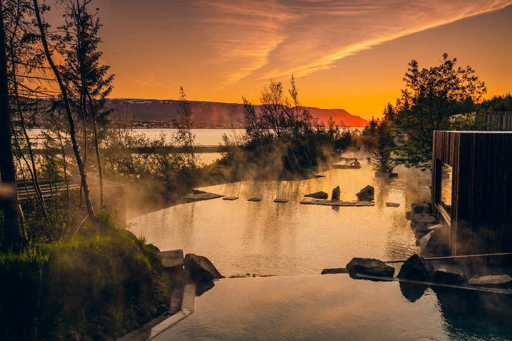 Forest Lagoon Iceland