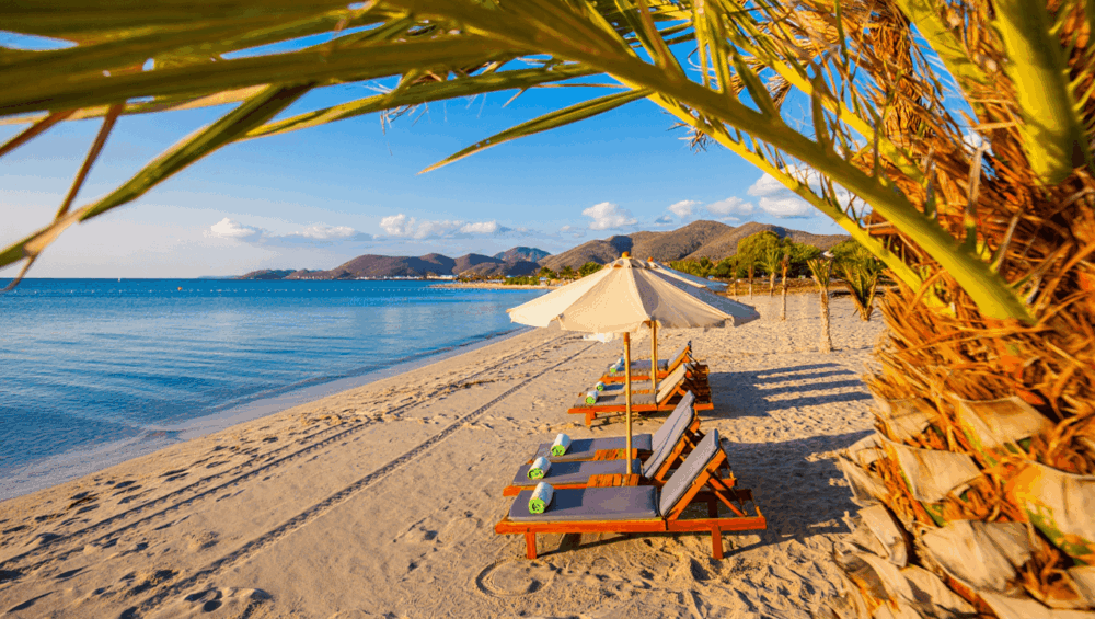 novembre-cheque-vacances-caraibe