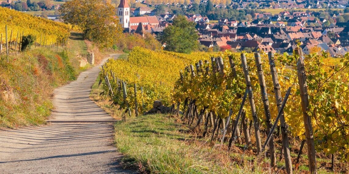 Ammerschwihr