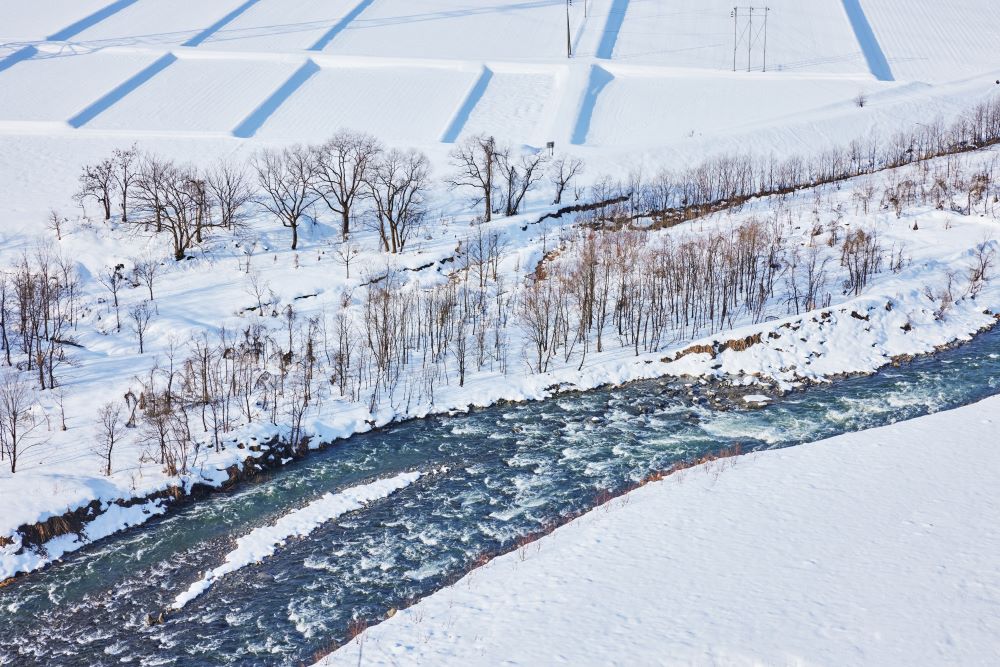 Niigata japon