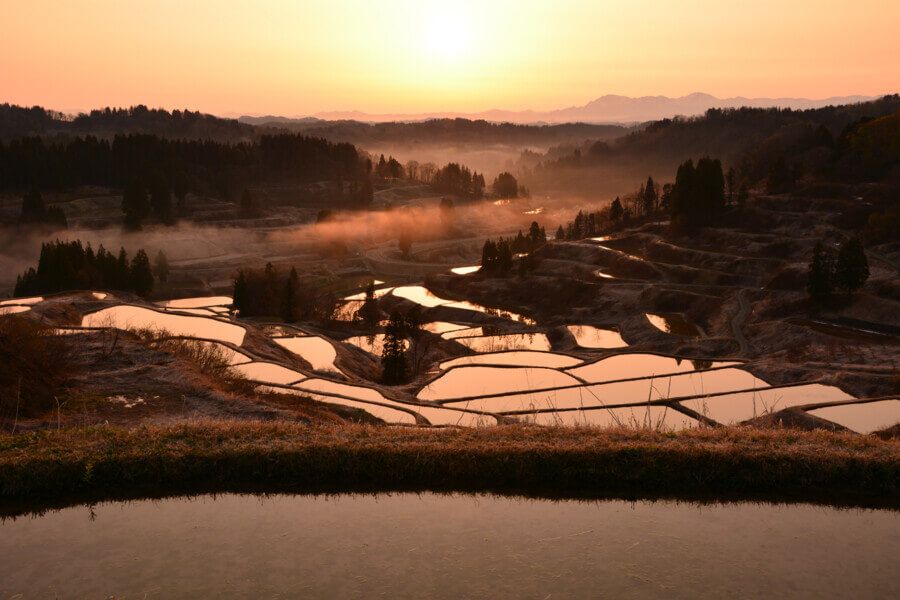 JAPON Niigata