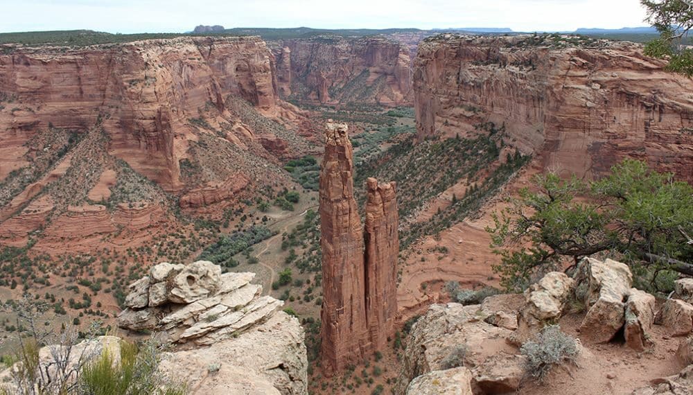 ARIZONA