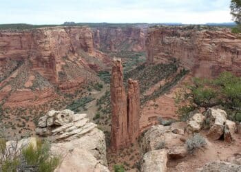 ARIZONA