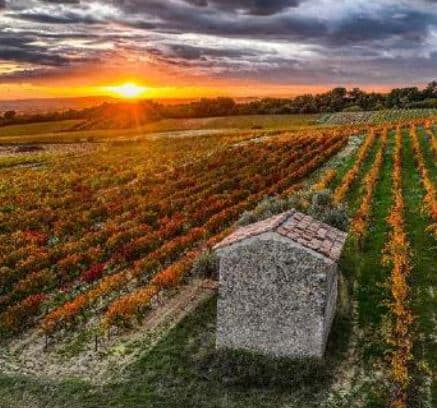 LA DROME PROVENCALE