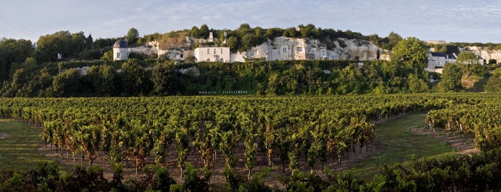 SAUMUR