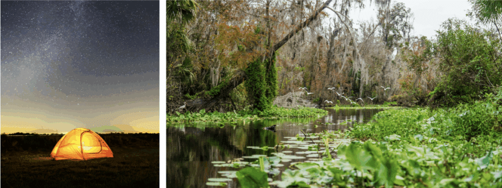 FLORIDE