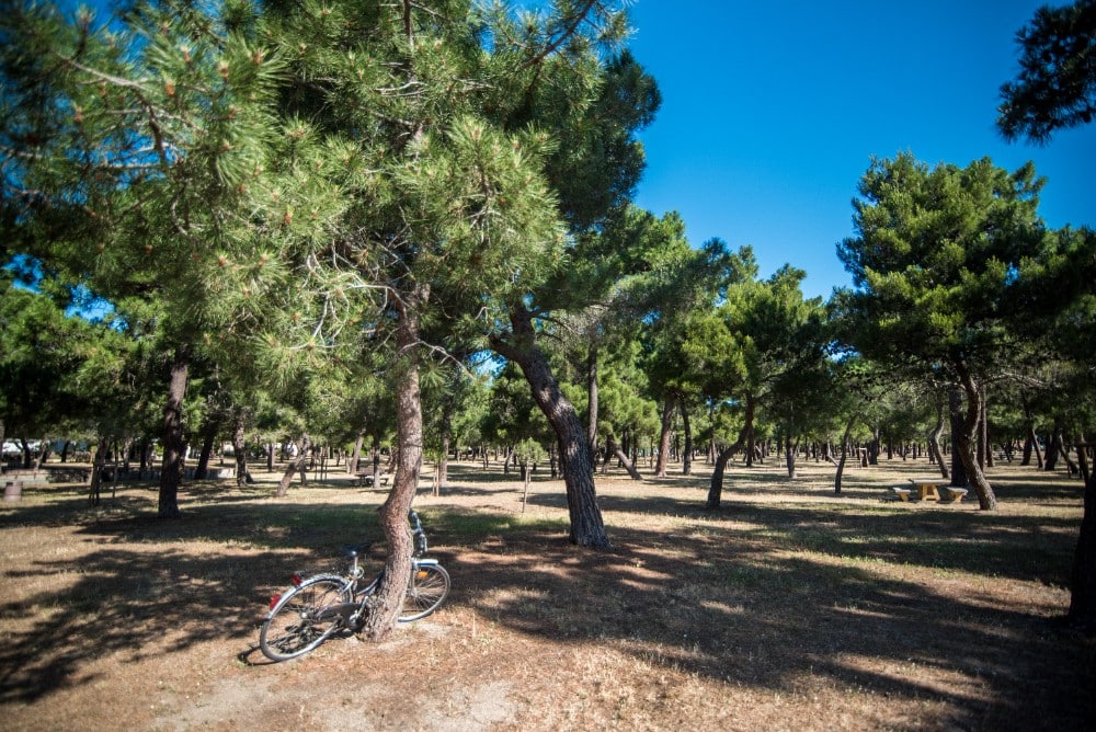 ARGELES