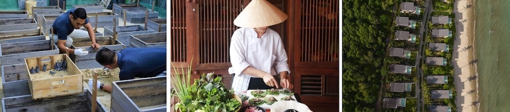 repas asiatique et plage