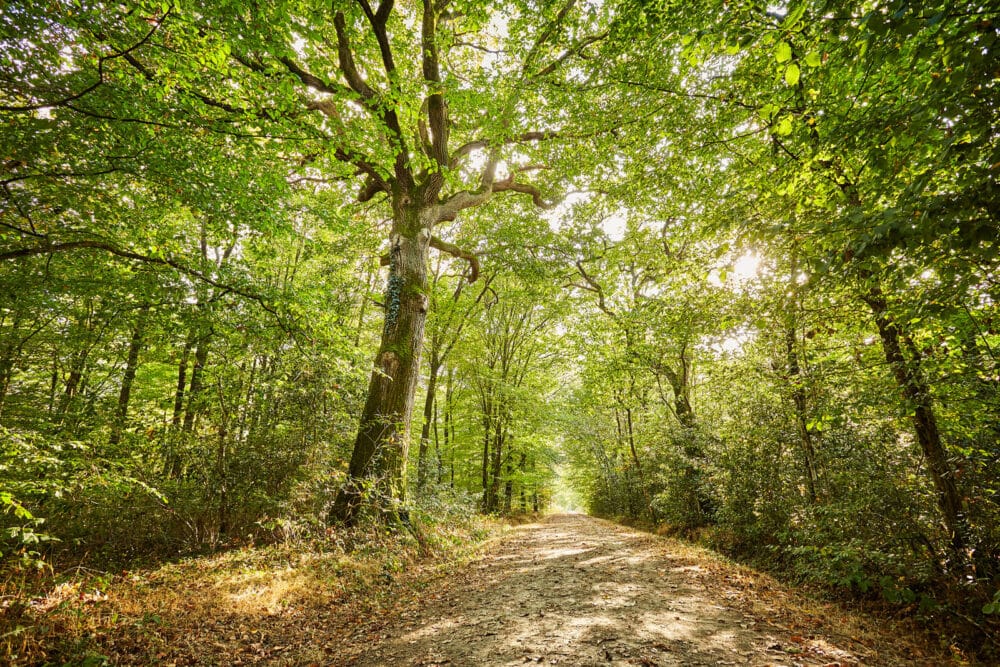 Paysages de la Vendée