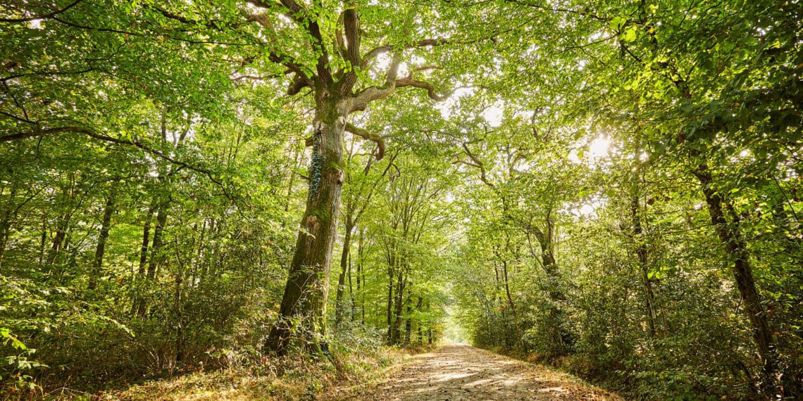 Paysages de la Vendée