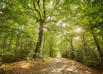 Paysages de la Vendée