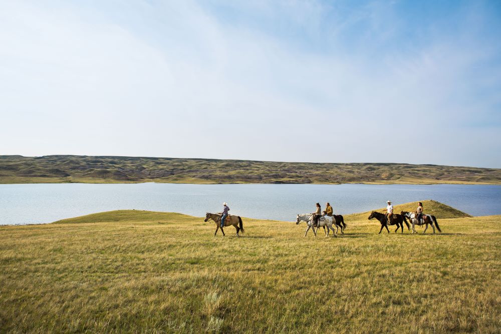 Des personnes faisant du cheval au bord de l'eau