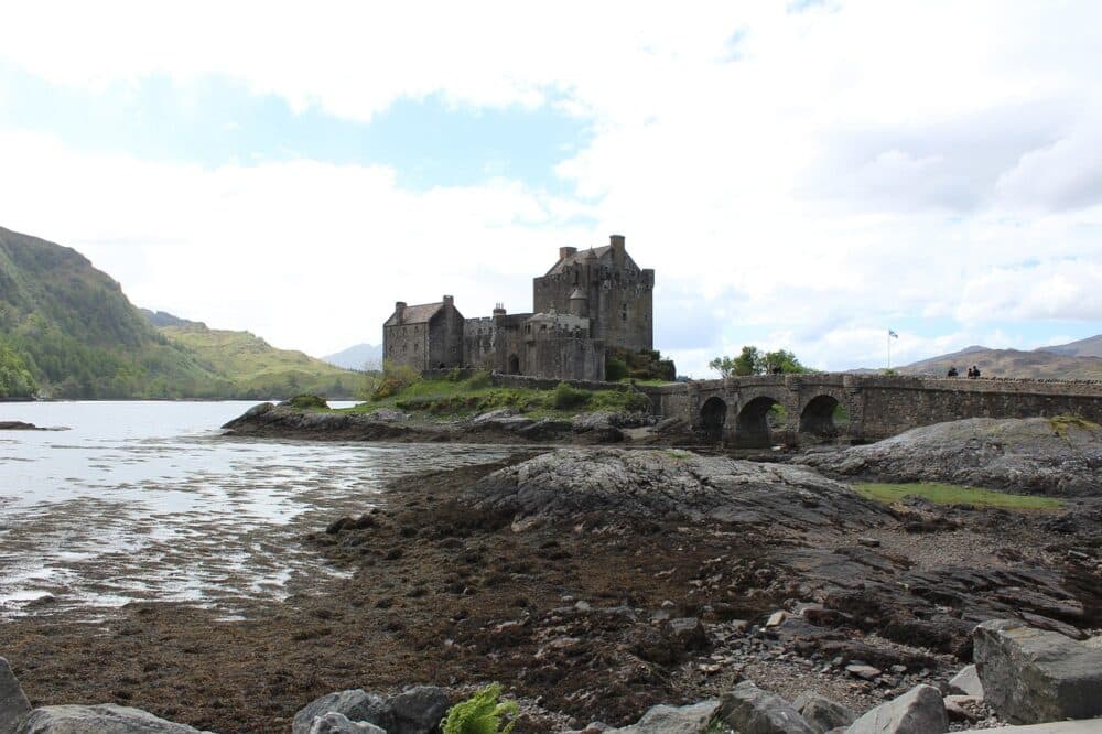 ECOSSE