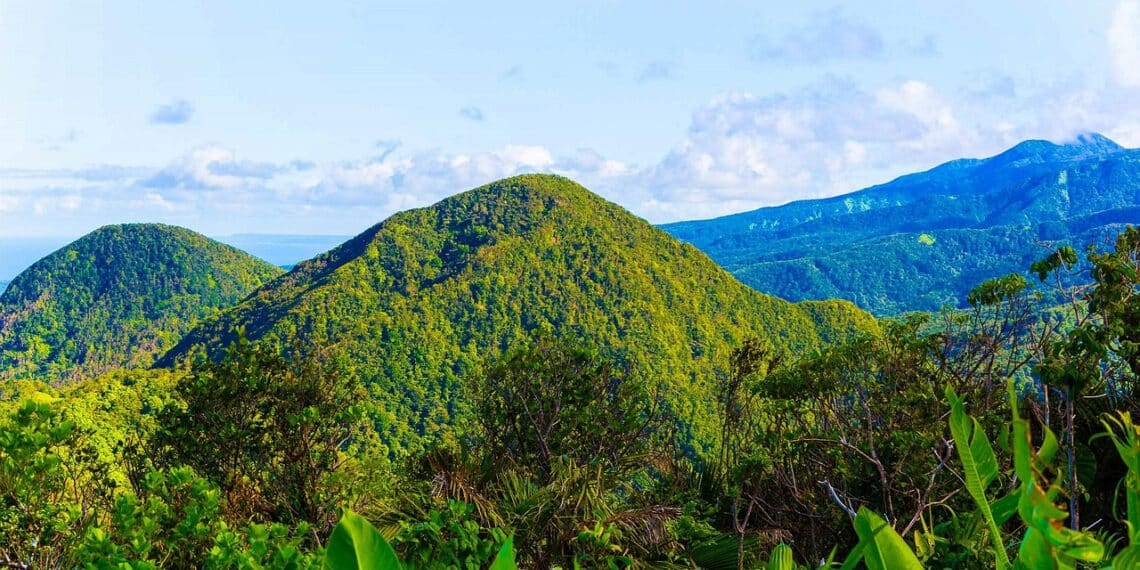 vue sur une montagne en guadeloupe