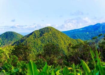 vue sur une montagne en guadeloupe