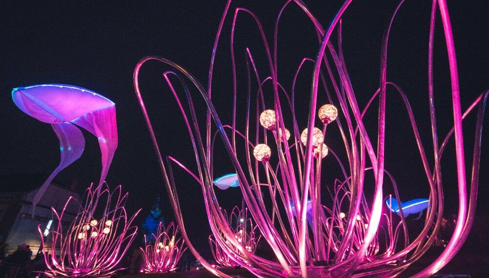 decoration lumineuse la nuit représentant une énorme fleur violette